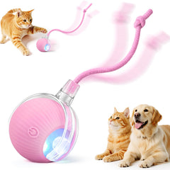 Smart Interactive Automatic Electric Rolling Moving Rechargeable Motion Activated Self Play Electronic Stimulation Chase Teaser Ball Toy with Rope for Indoor Bored Adult Cat and Dog, Red