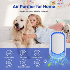 Plug In Air Ionizer 4 Pack, Air Purifier Ionizer Negative Ion for Home Bedroom, Small Air Purifier for Pet Odor Smoke Dust, Ozone Free Room Air Purifier, Quiet Air Freshener Plug in